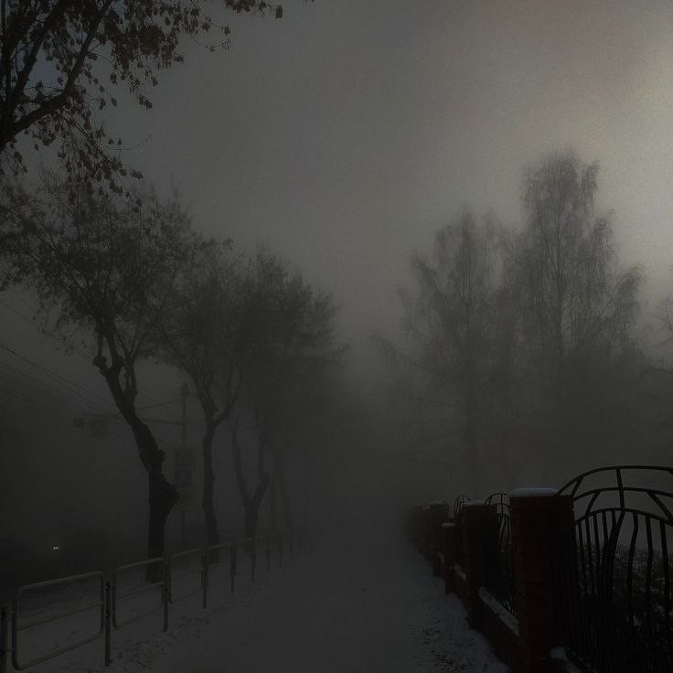 Create meme: foggy day, Fog fog, thick fog in the park