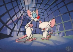 Create meme: PINKY AND BRAIN