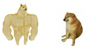 Create meme: dog Jock meme, buff doge, inflated dog