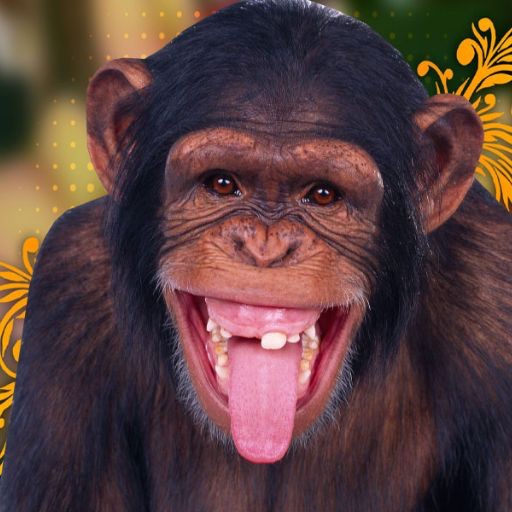 Create meme: chimpanzees , muzzle monkeys, funny monkey 