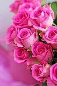 Create meme: flowers, flowers beautiful roses, beautiful roses