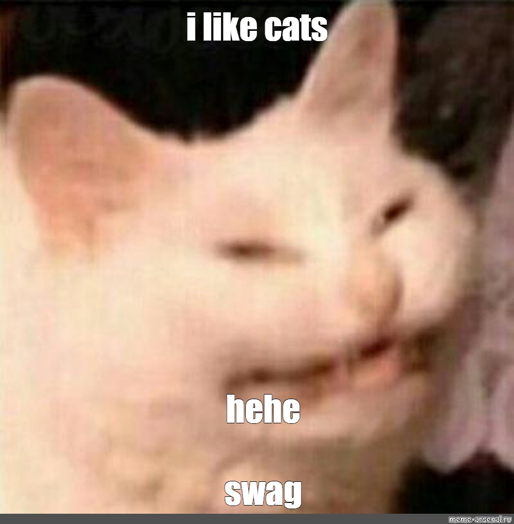 Meme I Like Cats Hehe Swag All Templates Meme 7932