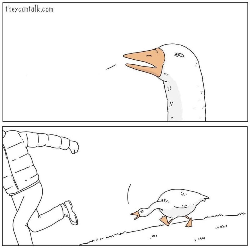 Create meme: evil goose , goose drawing is funny, meme goose 