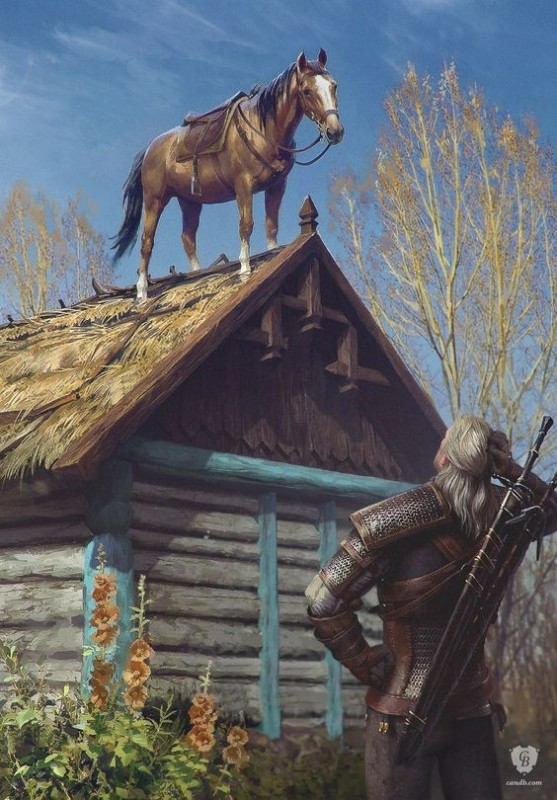 Create meme: The witcher gwint, The witcher is a roach, the witcher 3 roach on the roof