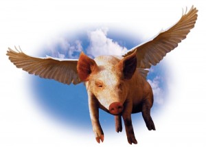 Create meme: pig with wings, flying pig