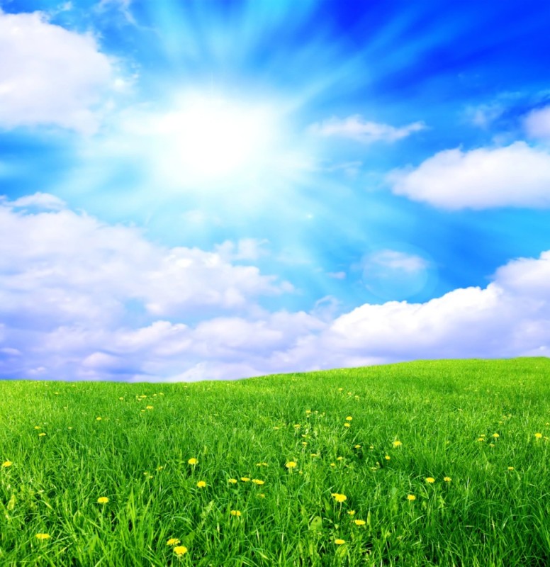 Create meme: background grass and sky, background meadow, grass and sky