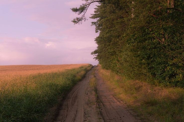 Создать мем: сельская дорога, дорога в поле, природа пейзаж