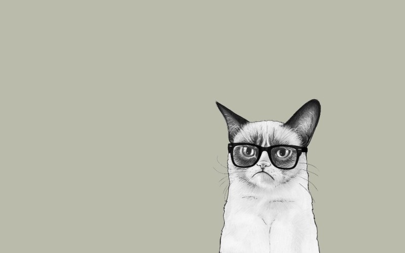 Create meme: cat art minimalism, unhappy cat picture, cats minimalism