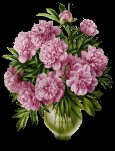 Create meme: flowers peonies, peonies, bouquet of peonies