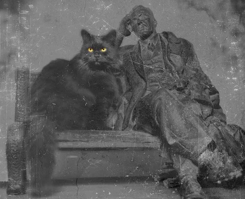 Create meme: Bulgakov the master and Margarita the Hippopotamus cat, the master and Margarita the cat Behemoth, bulgakov museum cat behemoth maine coon
