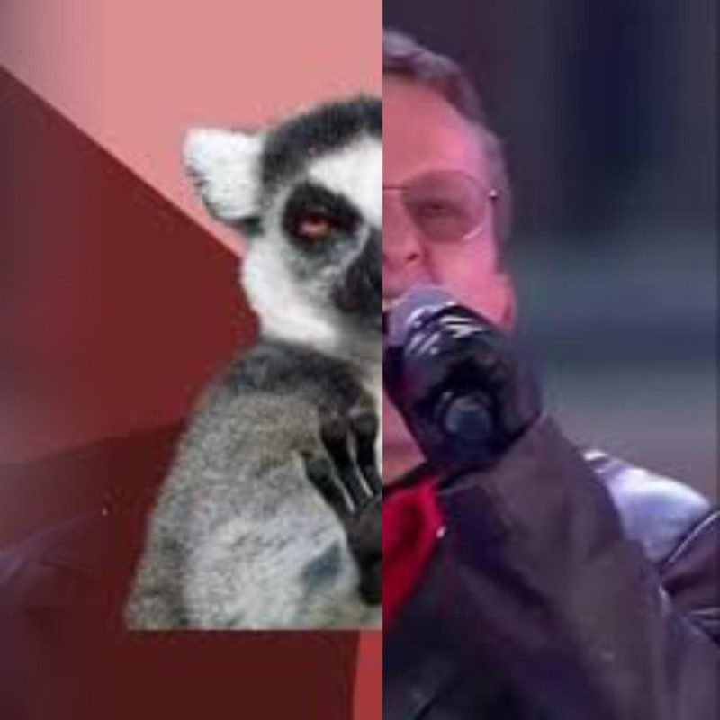 Create meme: meme uzbagoysya , uzbagoysya , uzbekagoin lemur