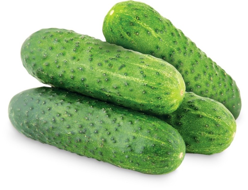 Create meme: cucumber on white background, cucumber mig, common cucumber