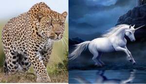 Create meme: leopard photo, Cheetah, wild animals Cheetah
