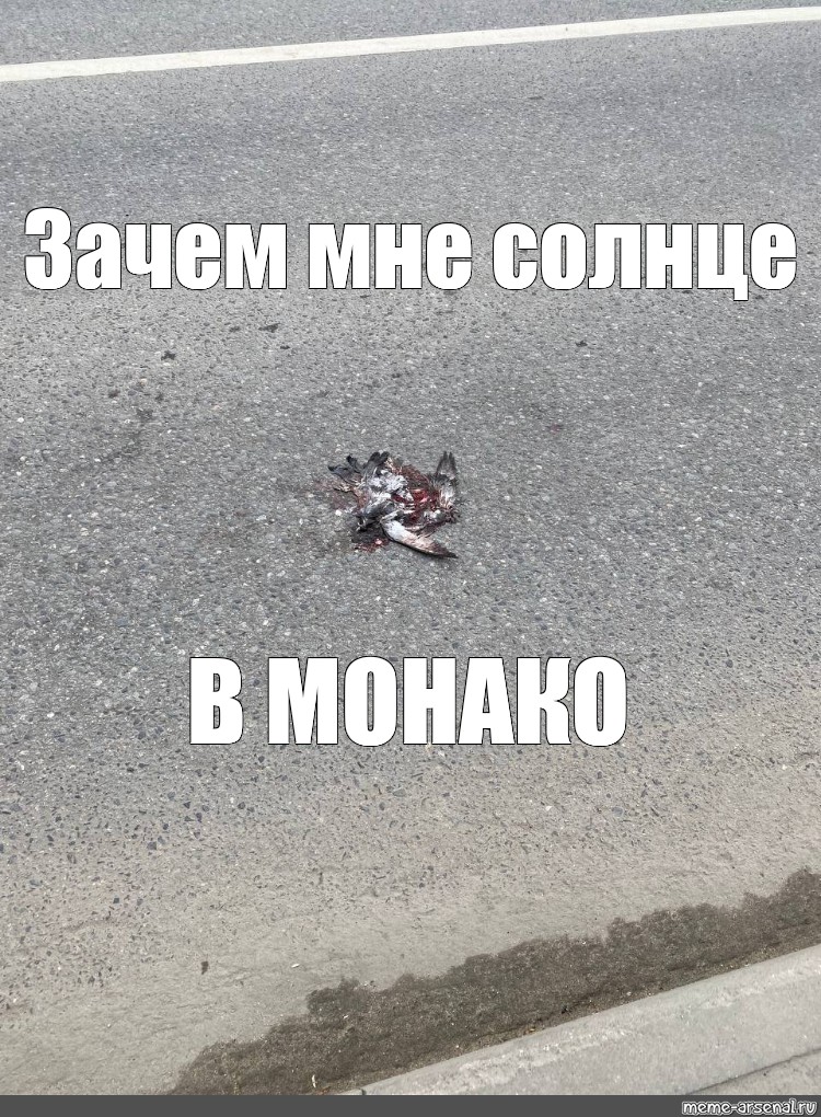 Зачем солнце монако. Зачем мне солнце Монако. Монако мемы. Зачем мне солнце. Зачем мне солнце Монако мемы.