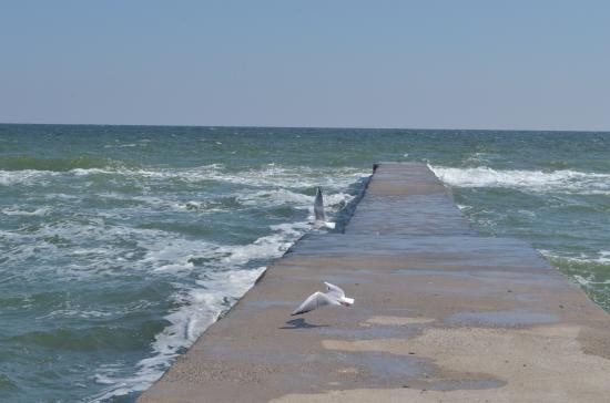 Create meme: sea , mecklenburg-vorpommern, people 