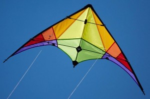 Create meme: kite