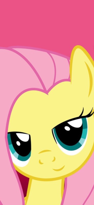 Create meme: fluttershy , fluttershy , pony 