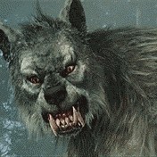 Create meme: werewolf furry, man werewolf, werewolf animation