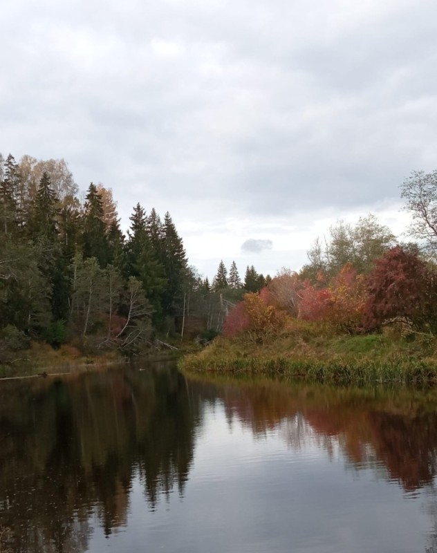 Create meme: nature , oredezh river, furniture 