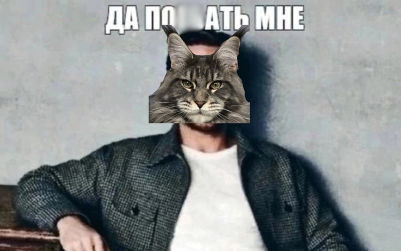 Создать мем: кот в пиджаке, кот, райан гослинг