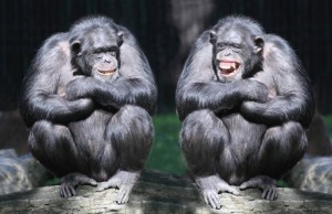 Create meme: chimpanzee, two monkeys, smile chimpanzees