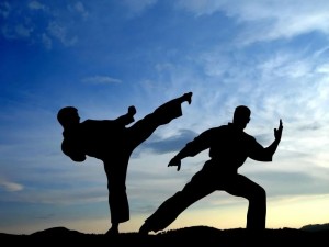 Create meme: martial arts, karate, mixed martial arts