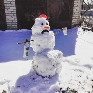 Create meme: snowman