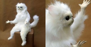 Создать мем: чучело белого кота, белый зверек мем, белый зверек