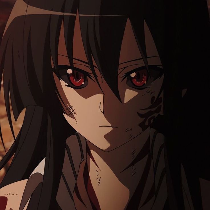 Create meme: Akame's killer!, akame ga, akame