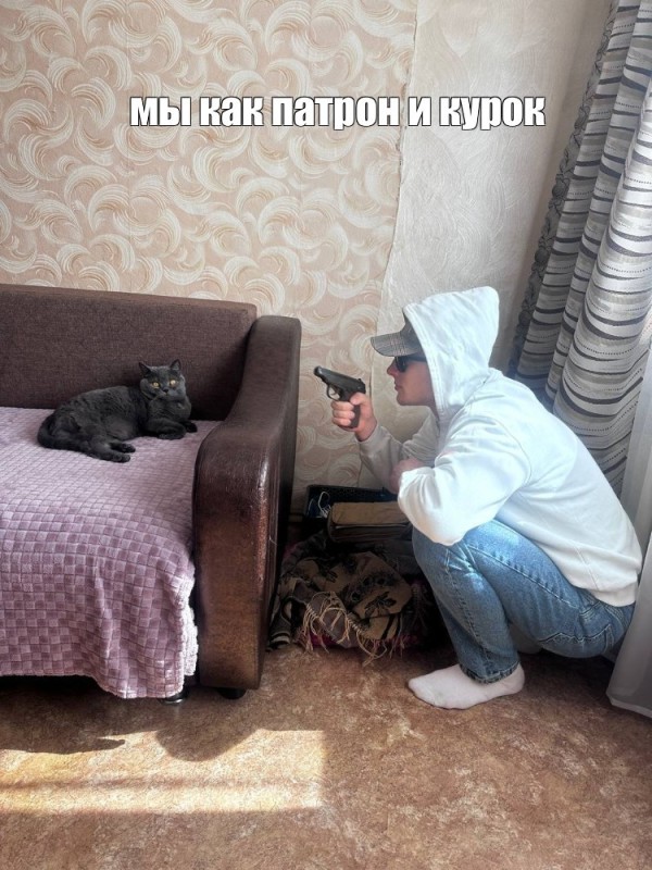 Create meme: yours, humor , a cat with a gun