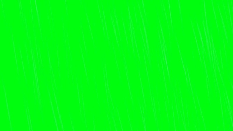 Create meme: the green background is clean, the green background is solid, green chromakey9.16