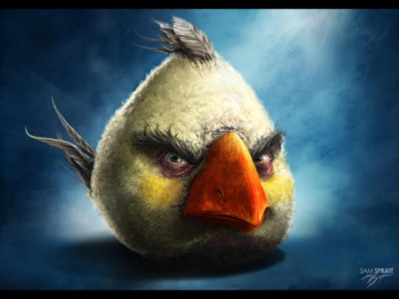 Create meme: realistic angry birds, angry birds ace fighter, Angry birds are realistic