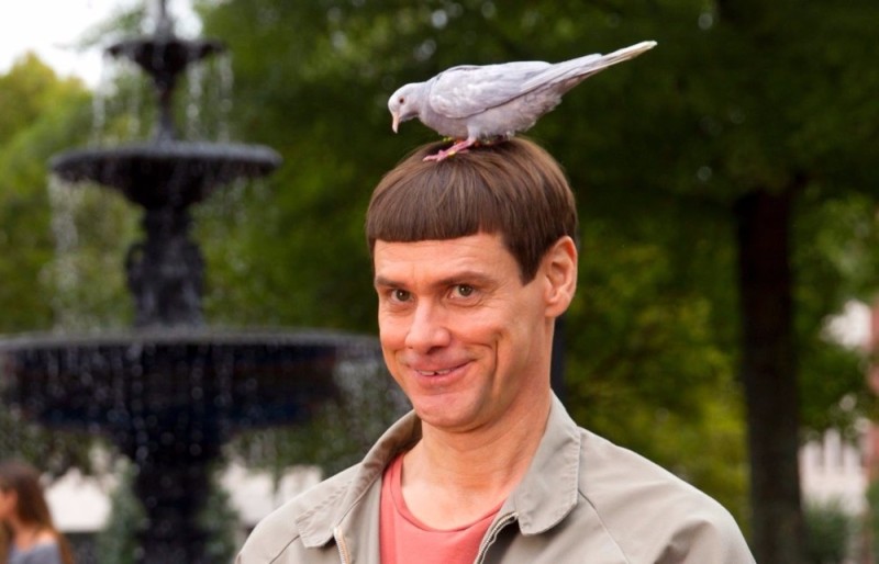 Create meme: Jim Carrey in Dumb and Dumber, Jim Carrey is dumb and dumber, hairstyle potty