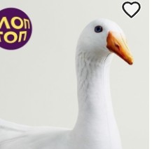 Create meme: duck goose, goose