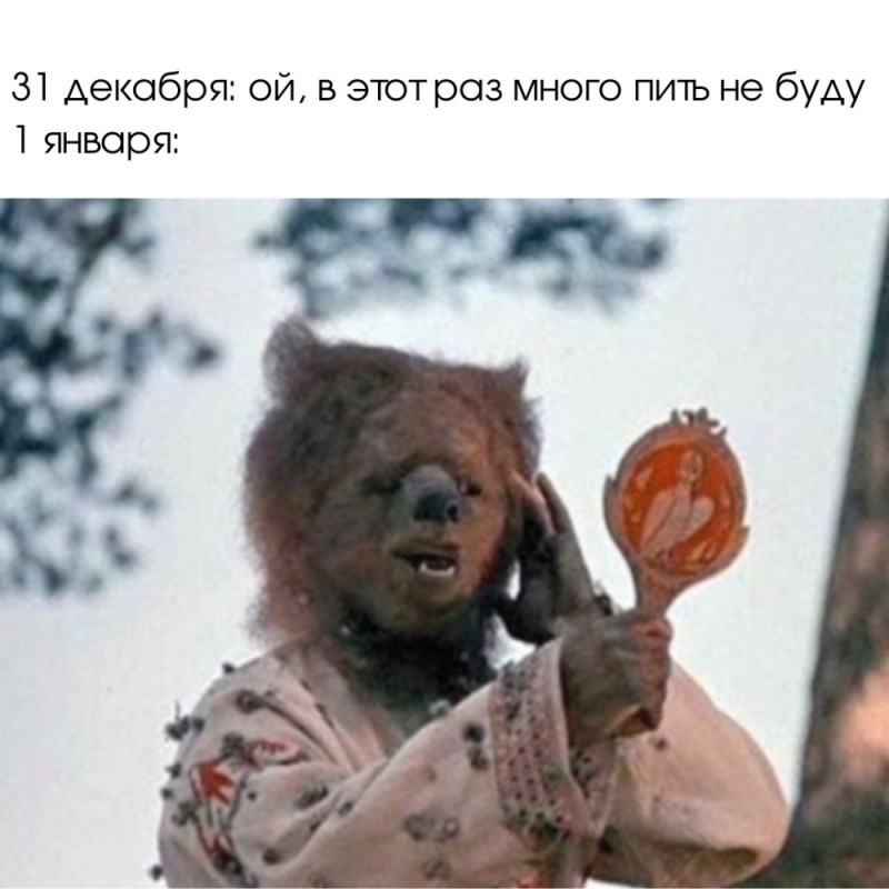 Create meme: January 1 jokes, Morozko Ivan the bear, Morozko 1964 film The bear