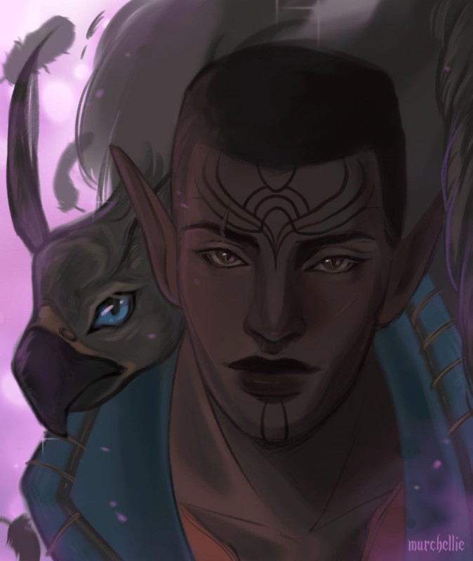 Create meme: kunari art, Dragon Age Dolian Elves, Lavellan dragon age