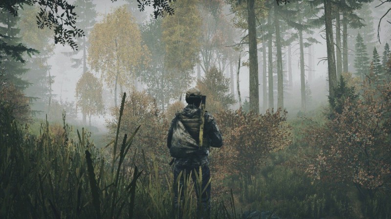 Создать мем: dayz охота, dayz, dayz арт 4к