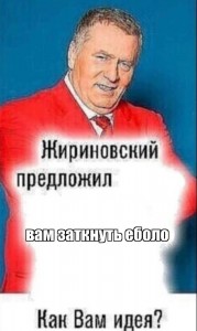 Create meme: Vladimir Zhirinovsky