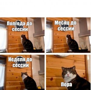 Create meme: cat time, meme with a cat and a clock, meme cat