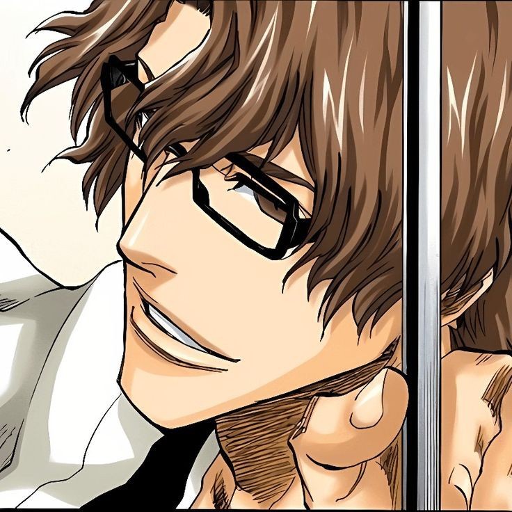 Create meme: aizen anime, the guy from the anime, soske aizen