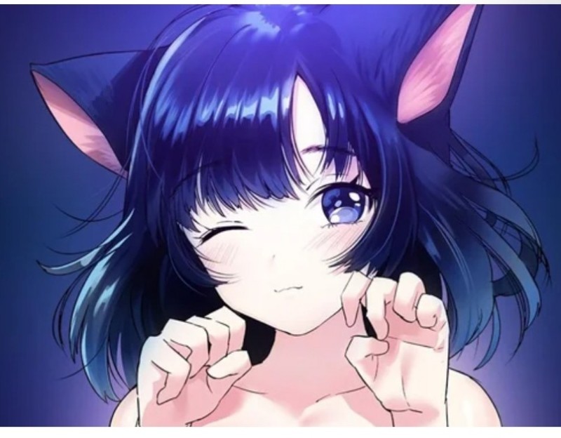 Create meme: neko chan, anime girl with ears, anime