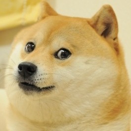 Создать мем: poor doge meme, doge, doge meme