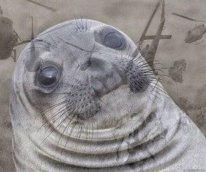 Create meme: seal smiling, seal, sad seal