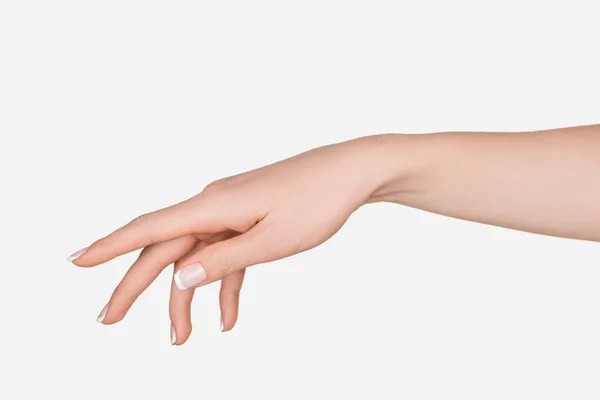 Create meme: female hand , hand , a woman's hand