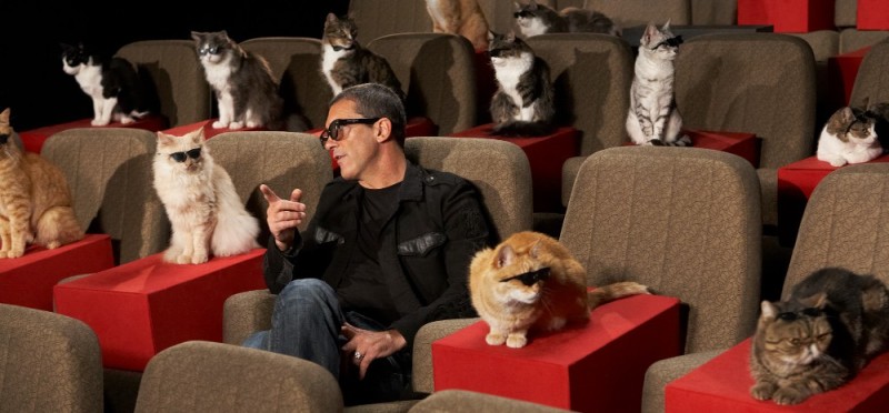 Create meme: The cat in the cinema, Antonio Banderas the cat, The cat theater