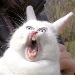 Create meme: screaming Bunny meme, screaming hare, screaming rabbit