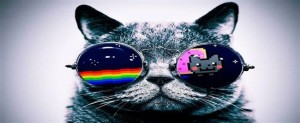 Create meme: Cat, cats, cat glasses dubstep cat