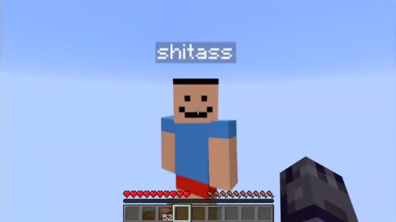 Create meme: minecraft 