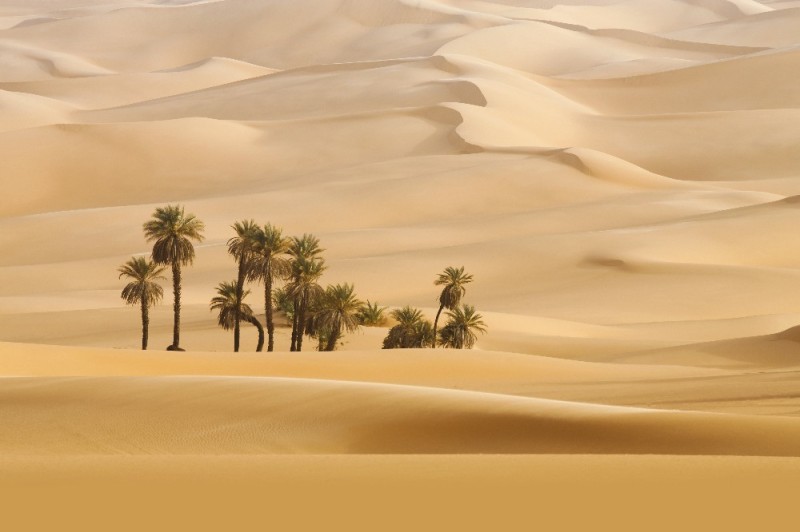 Create meme: dune desert, dunes oasis saudi arabia, desert 