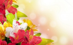 Create meme: flower background for postcard, background for congratulations